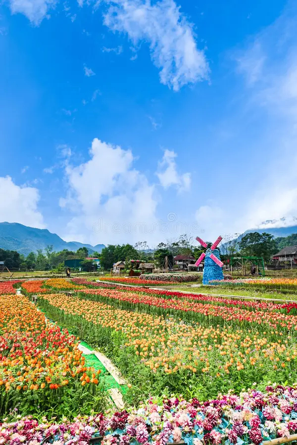 2-Day Cycling & Thai Stilt House Homestay