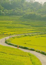 2-Day Pu Luong Nature Retreat & Trek