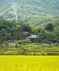 3-Day Authentic Trekking & Village Homestay