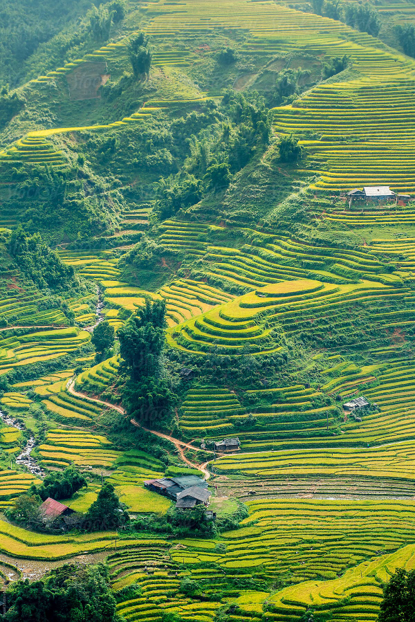 2-Day Private Trek & Authentic Hmong Homestay