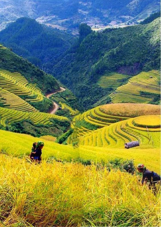 3-Day Off-Trail Trekking Adventure