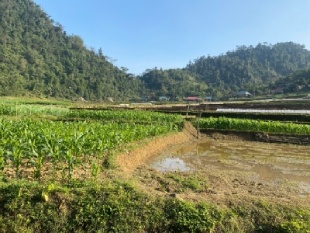 Living with local families in remote Vietnam village